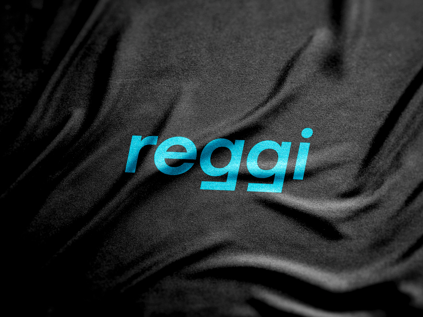 Proyecto Reggi